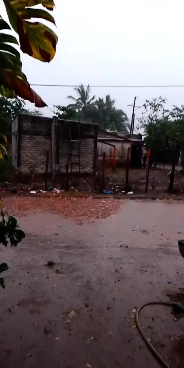 @Eliseo López