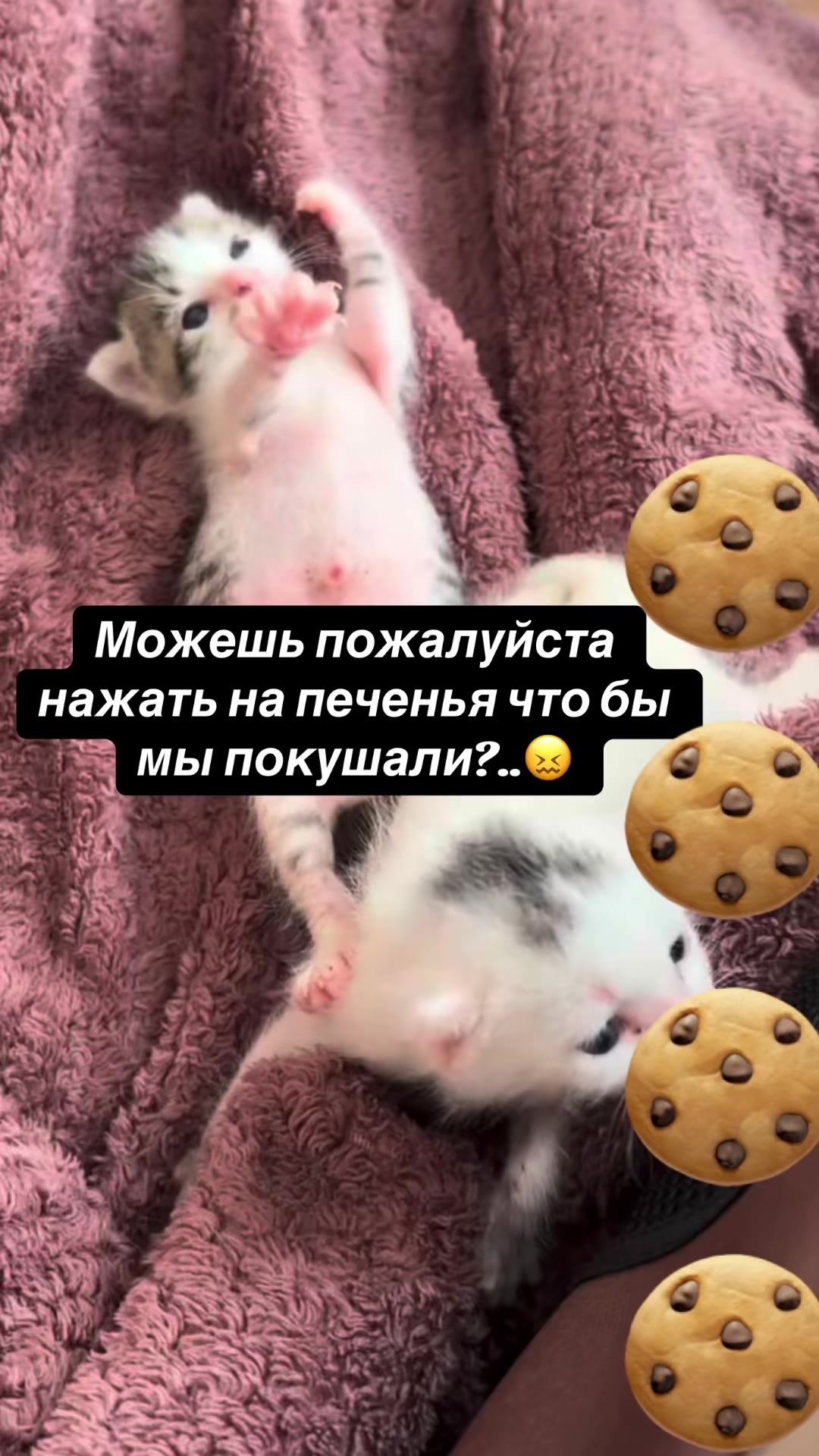 @kaboompriut