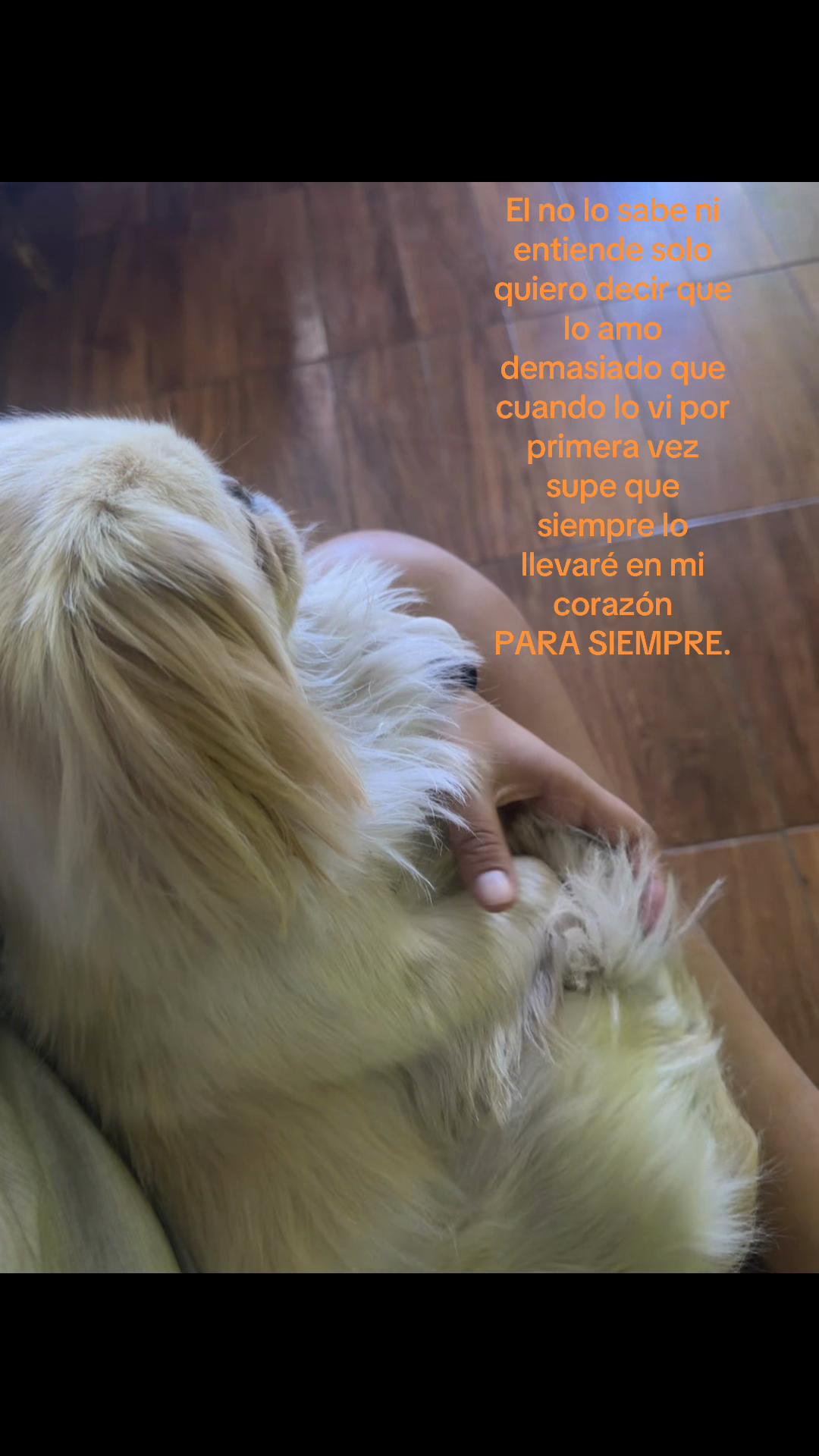 @🦦