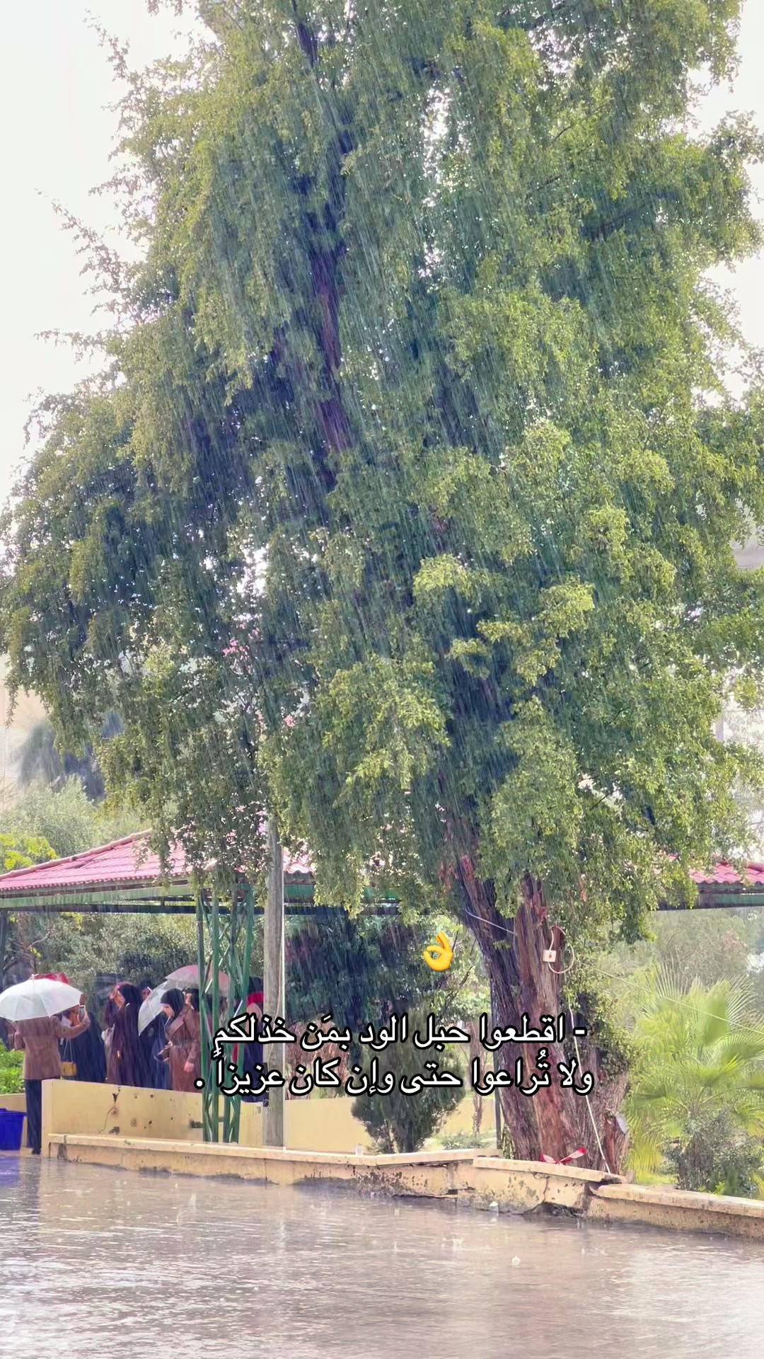 @جامعه الموصل