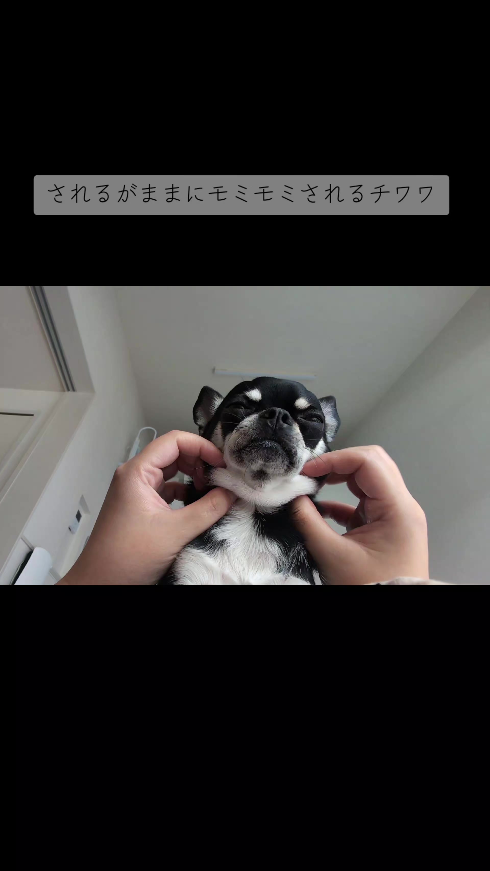 @ZEN
