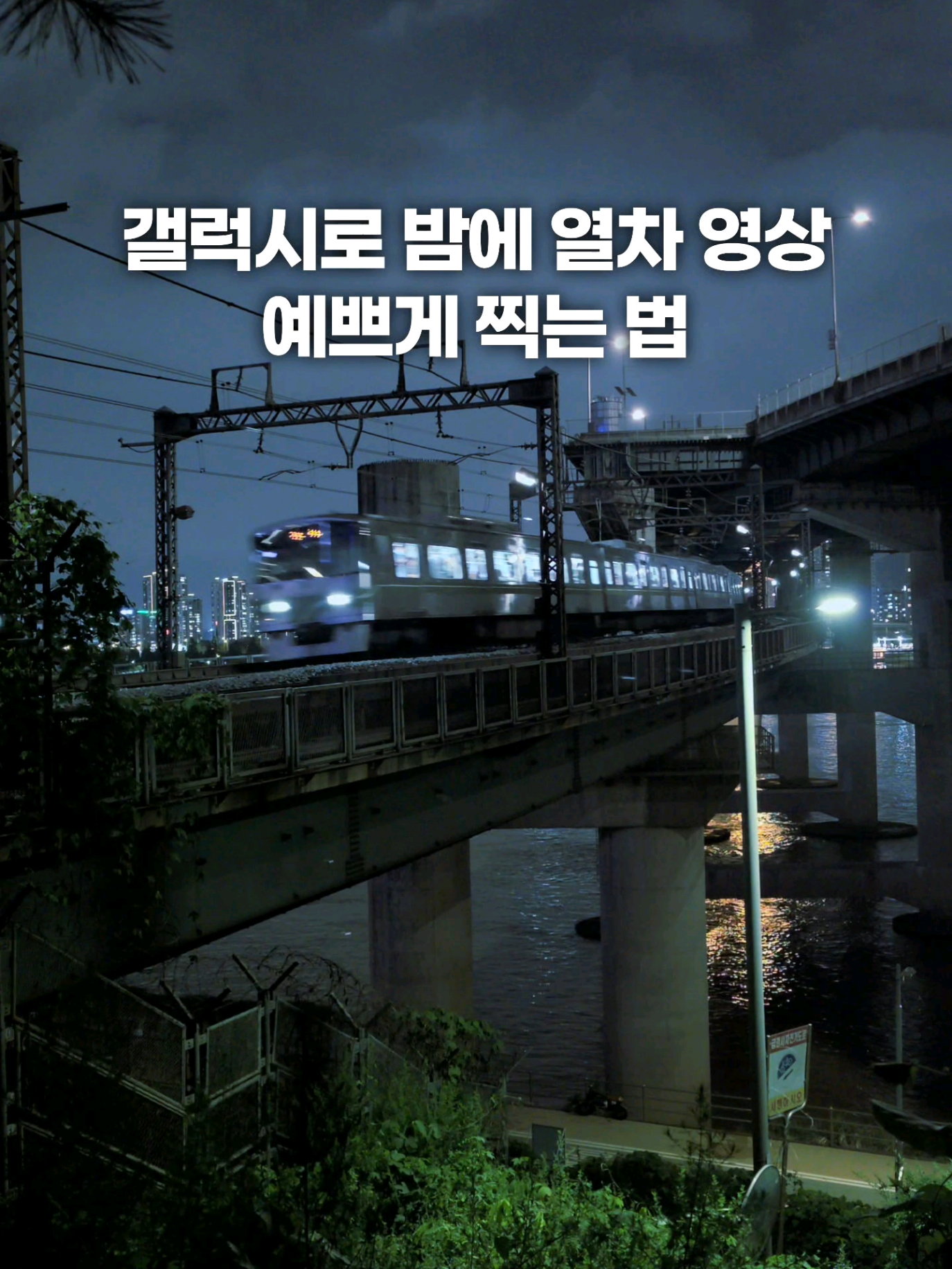 @주니웨어 주니