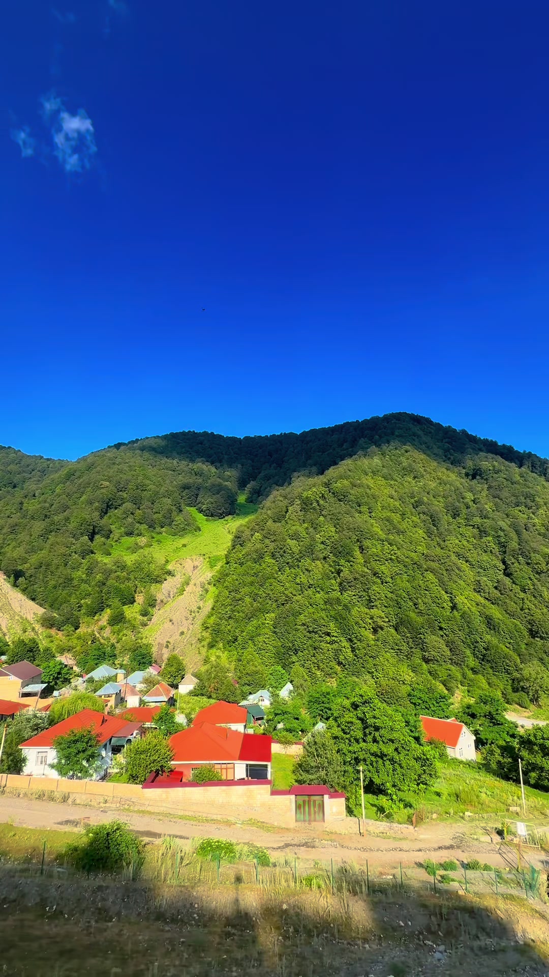 @𝑺.🇦🇿