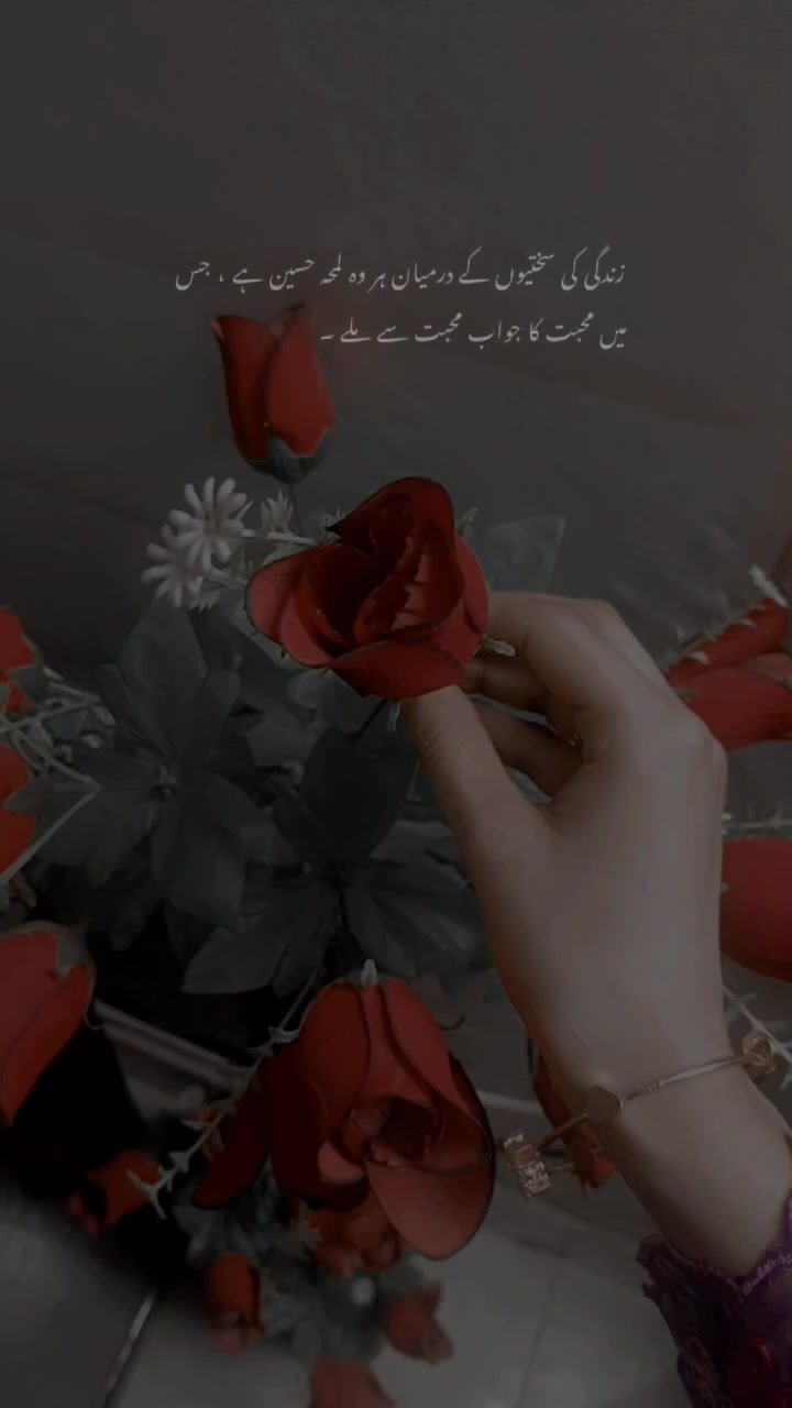 @💗🤲💗
