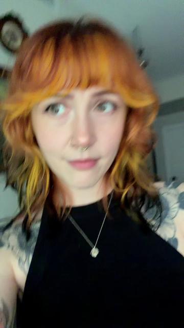 @faevvitch
