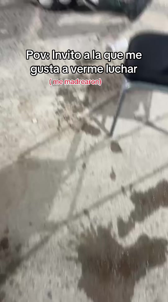 @Guerrero Dragon