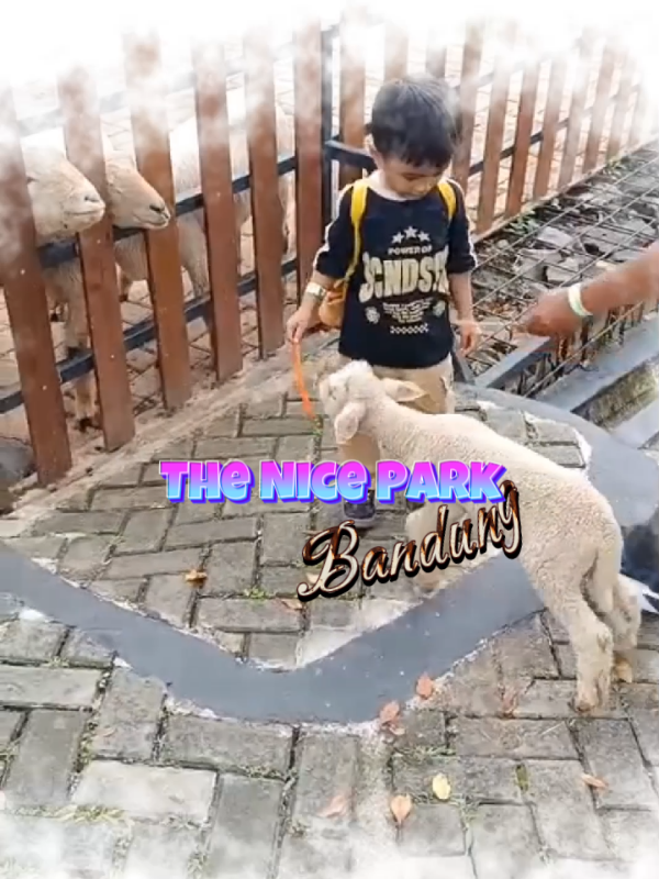 @rennitrianni0
