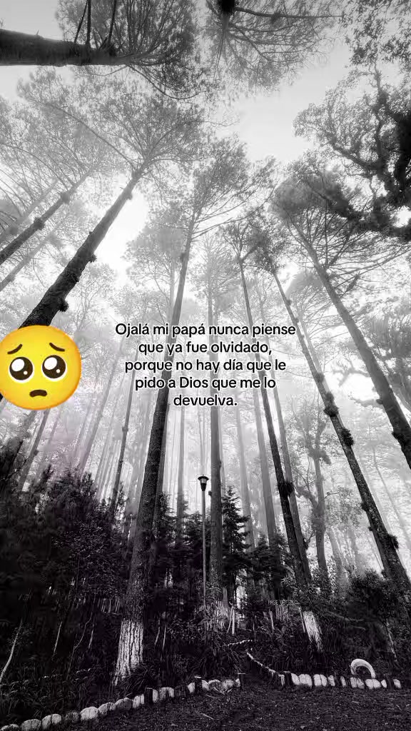 @Debora Jimenez