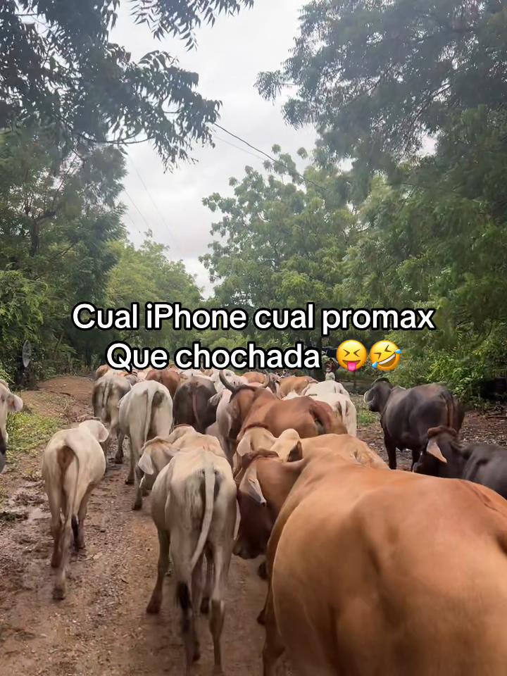 @Liss! 🤠