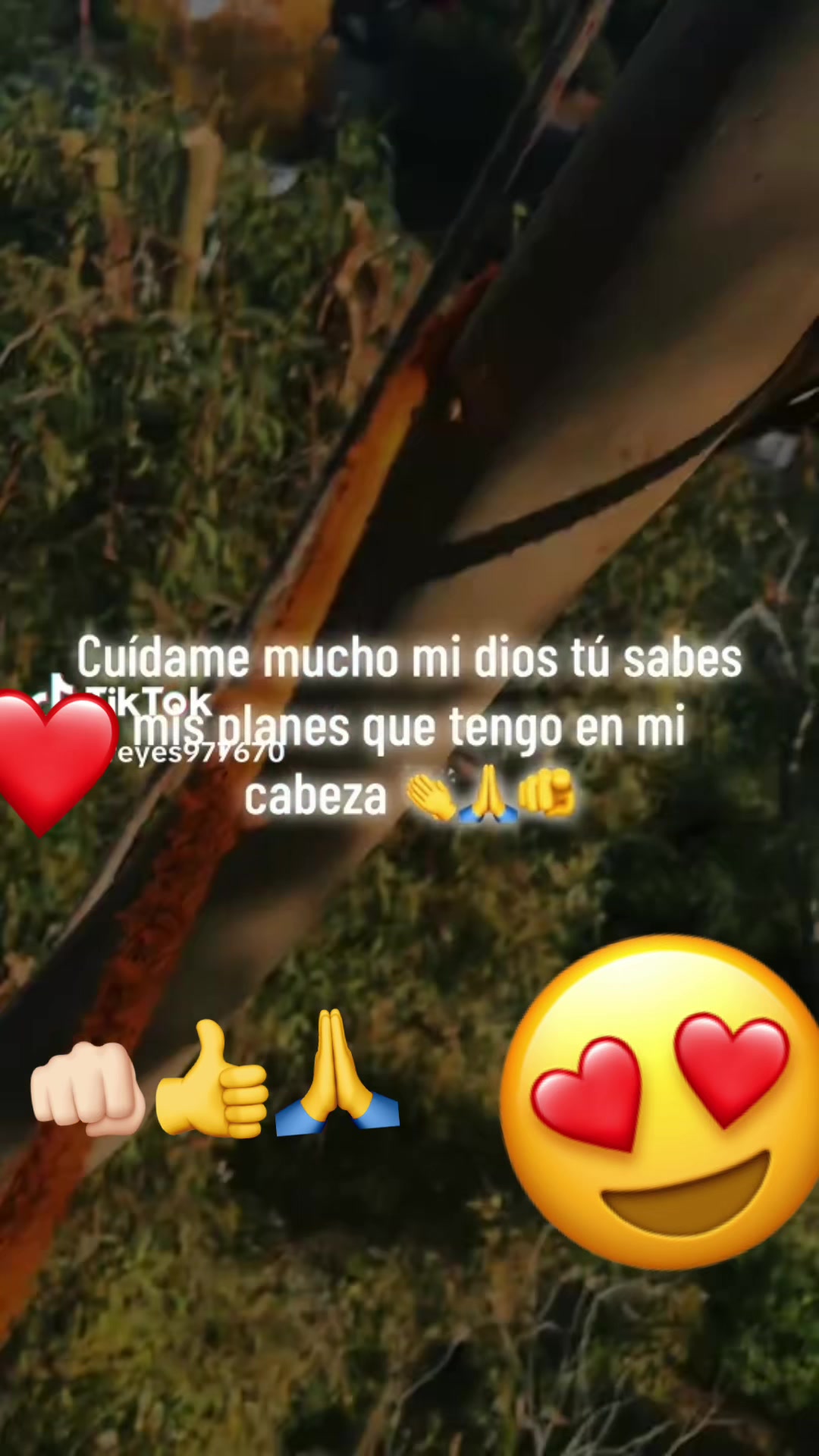 @Dalia Tlaczani