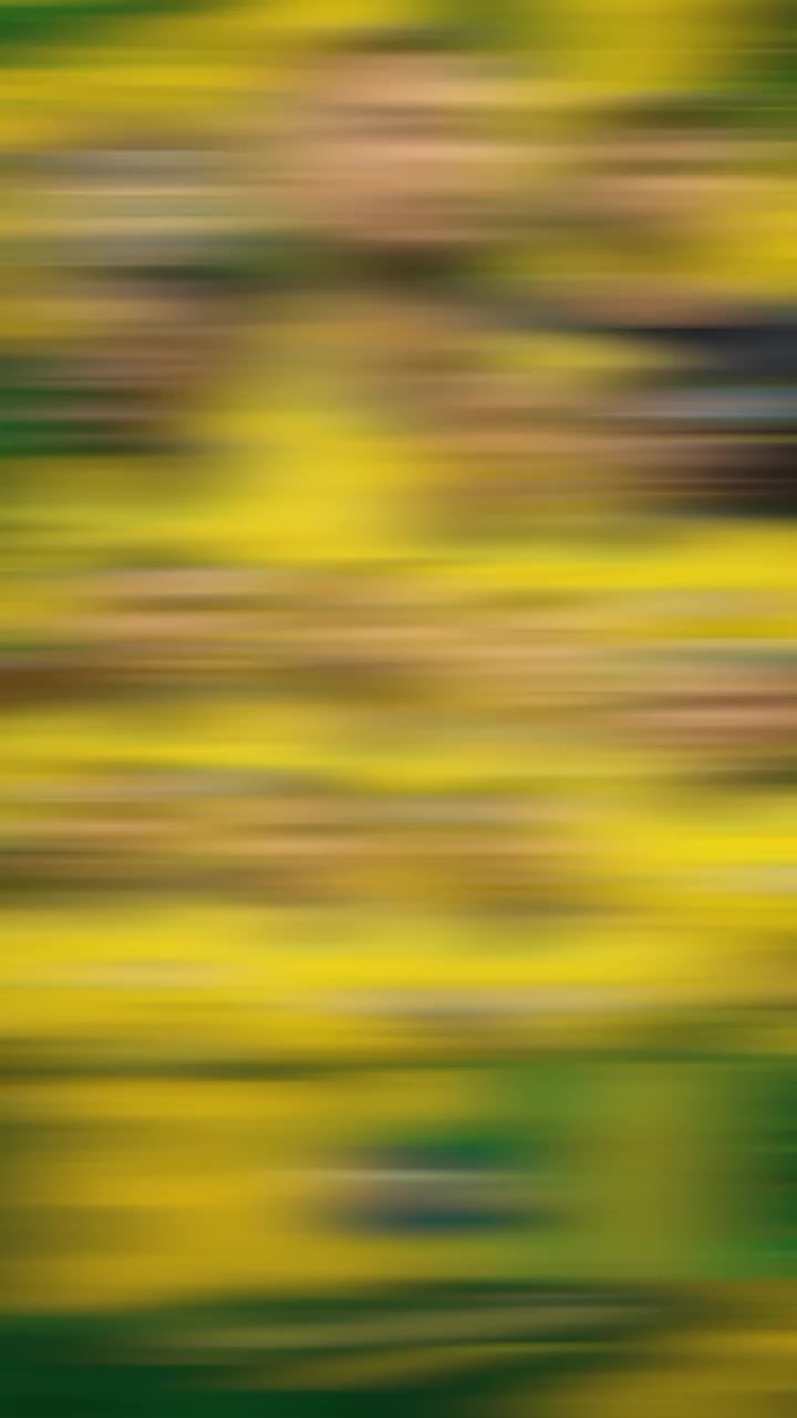@𝙉𝙙𝙧𝙖𝙖𝙖_𝙍𝙤𝙧𝙧𝙧🇧🇷