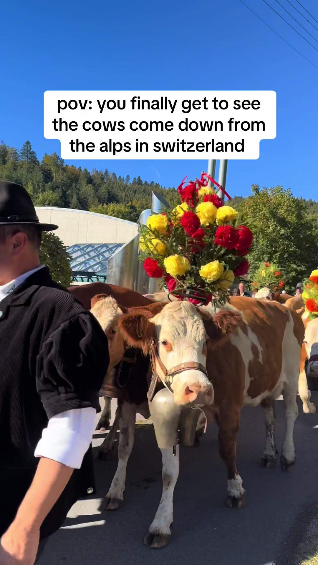 @jasmine | 🇨🇦 in switzerland