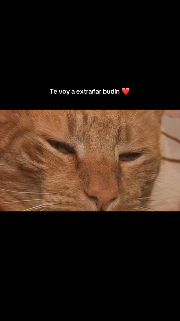 @Nicole Payaguala