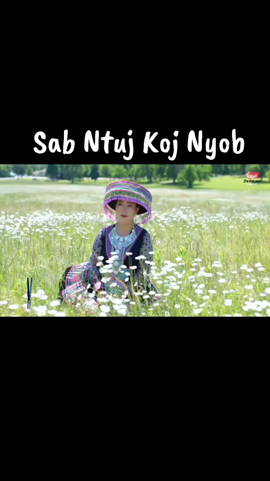 @🌺 Poj Niam Muaj Txiv 🌺