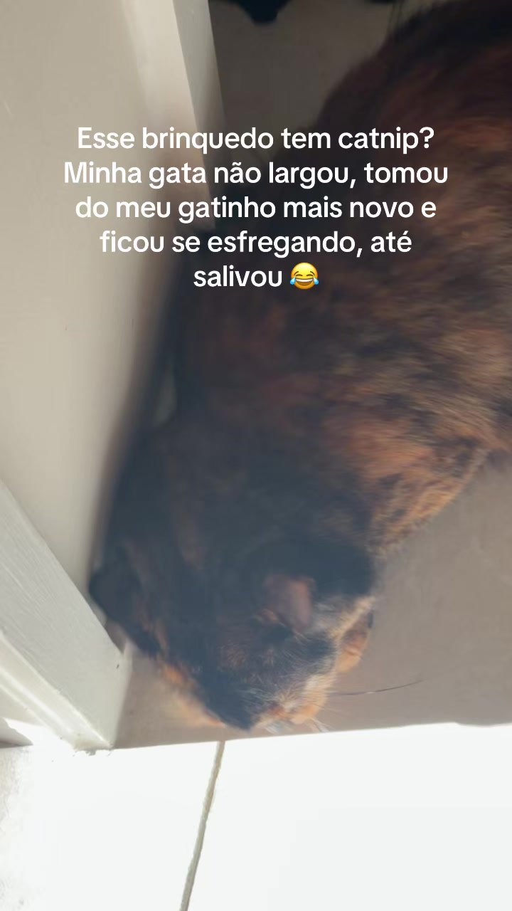 @Liziane Silva