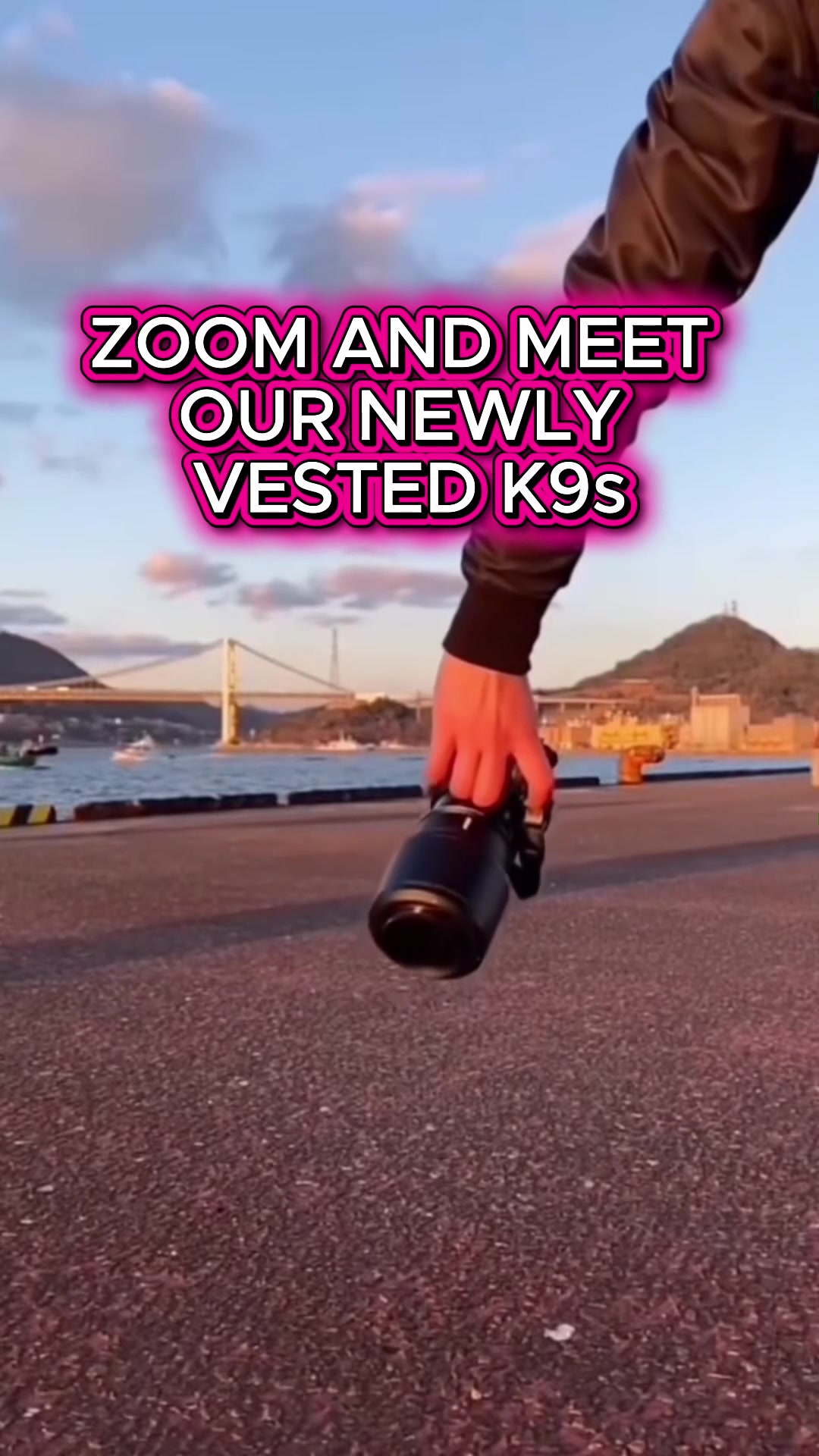 @Vested Interest in K9s, Inc.