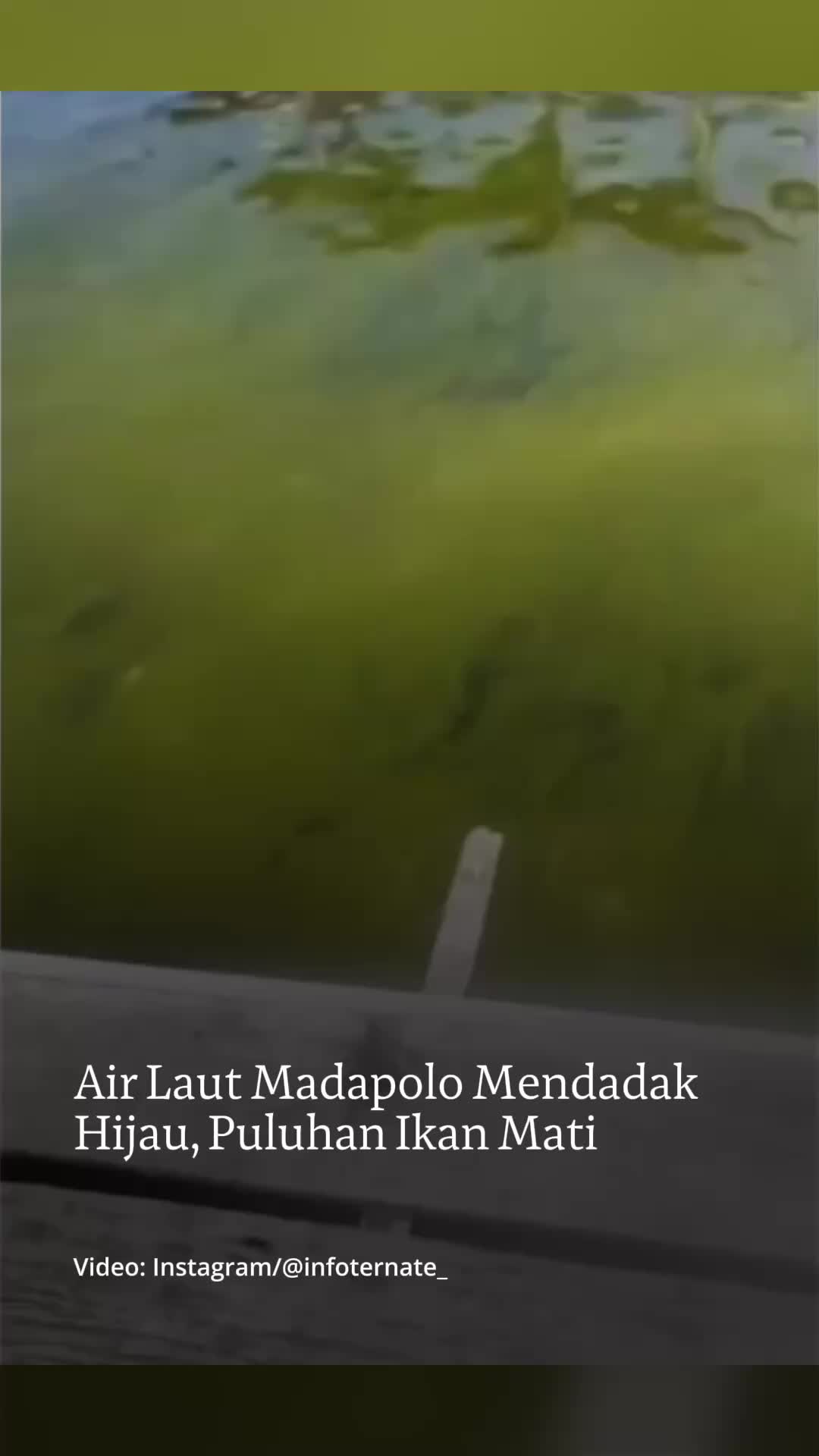@mongabayindonesia