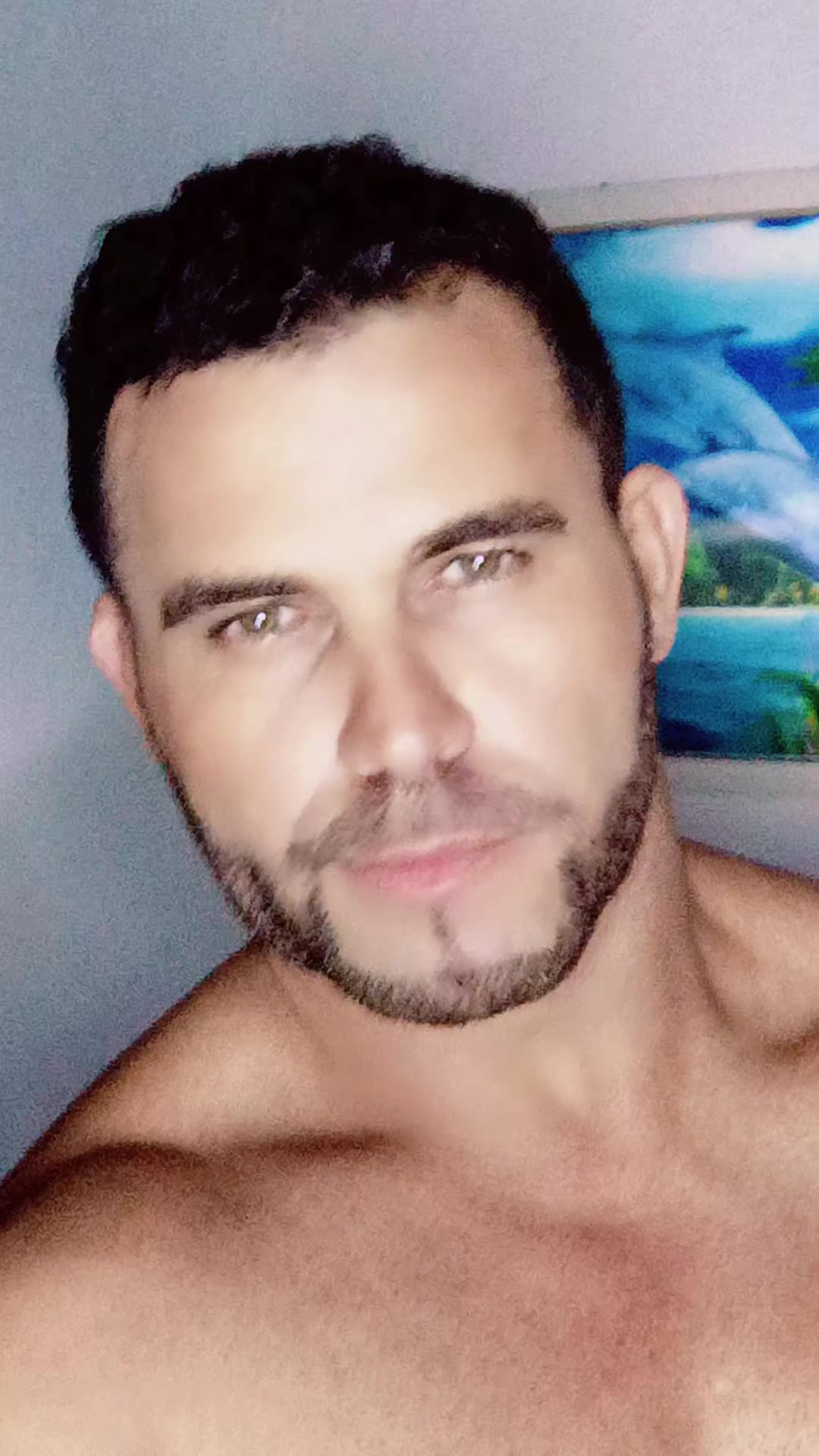 @olhos ๐๐de gato๐