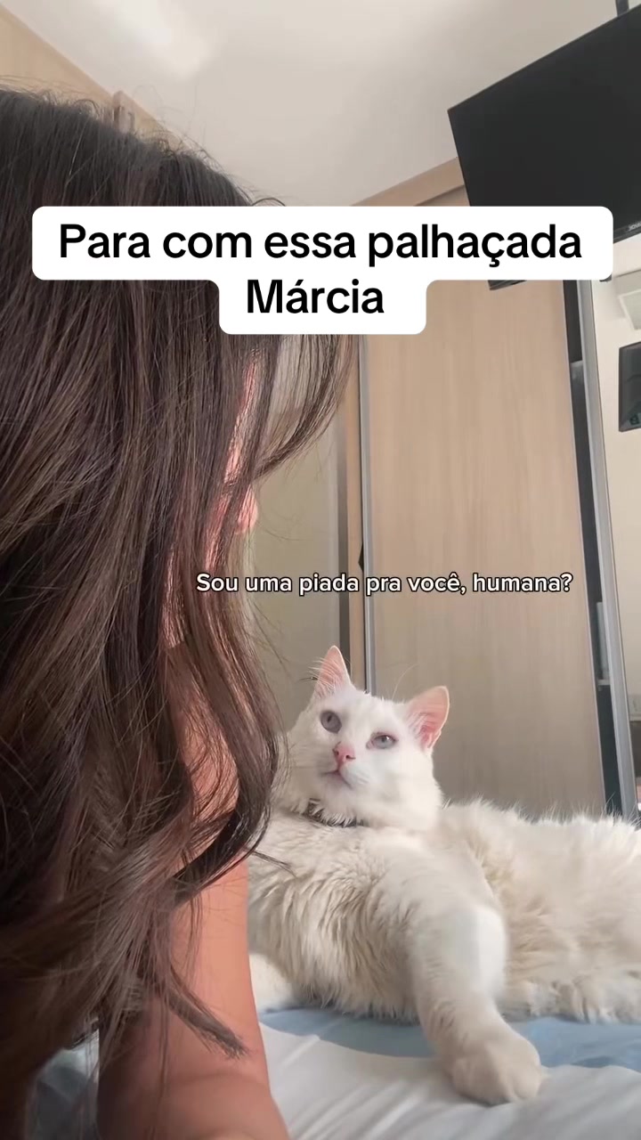 @Lusitonio Machado Do
