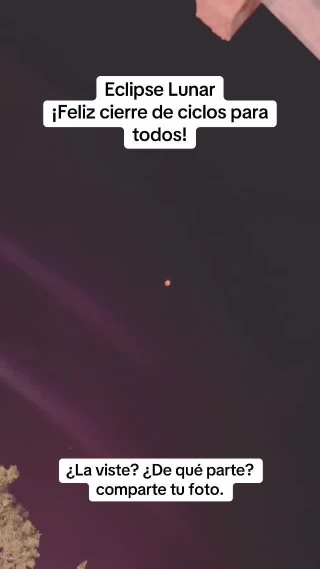 @Jorge Bechara 𓂀