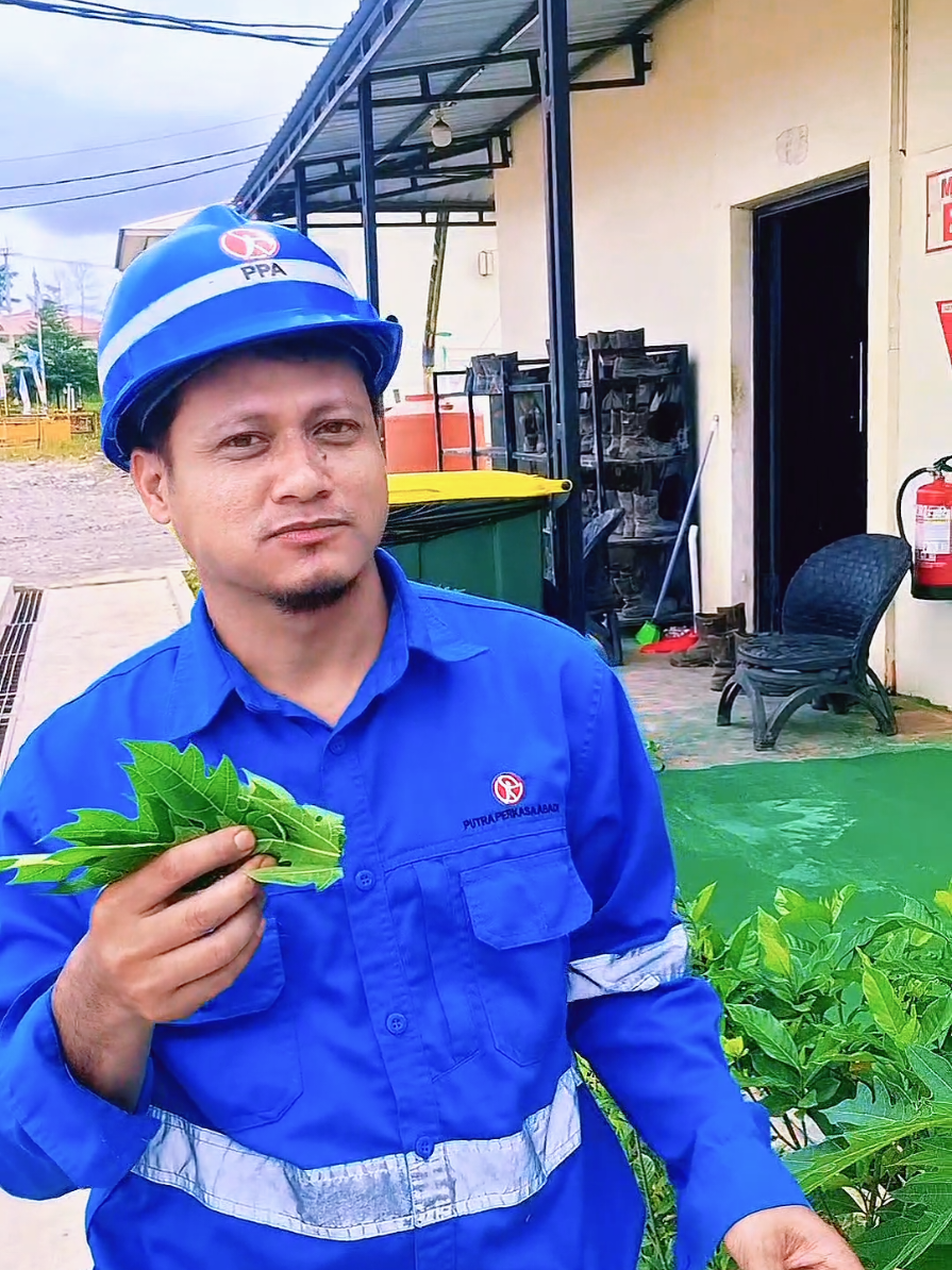 @Putraborneo30