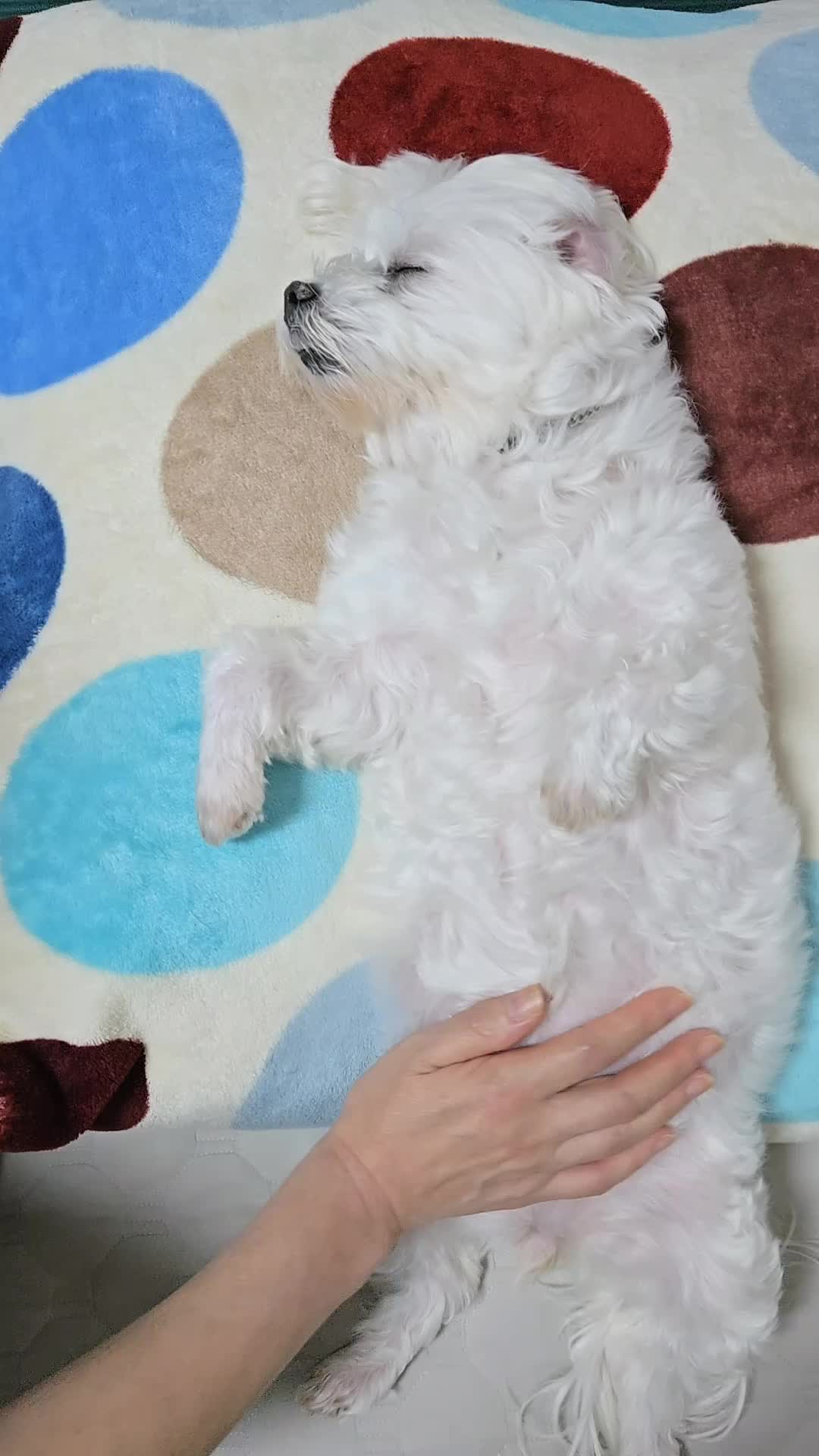 @❤파란눈녹차❤