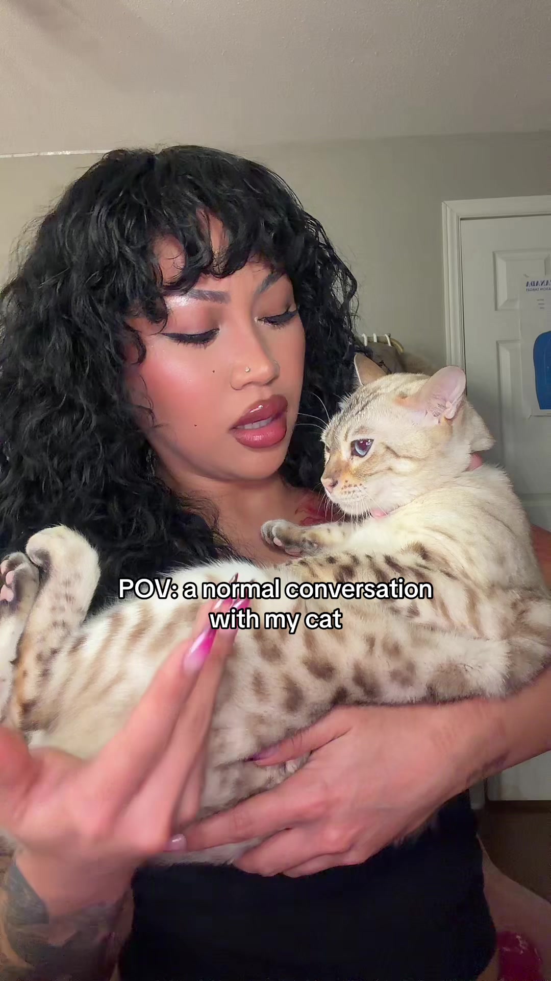 @Mirajane The Bengal🐾