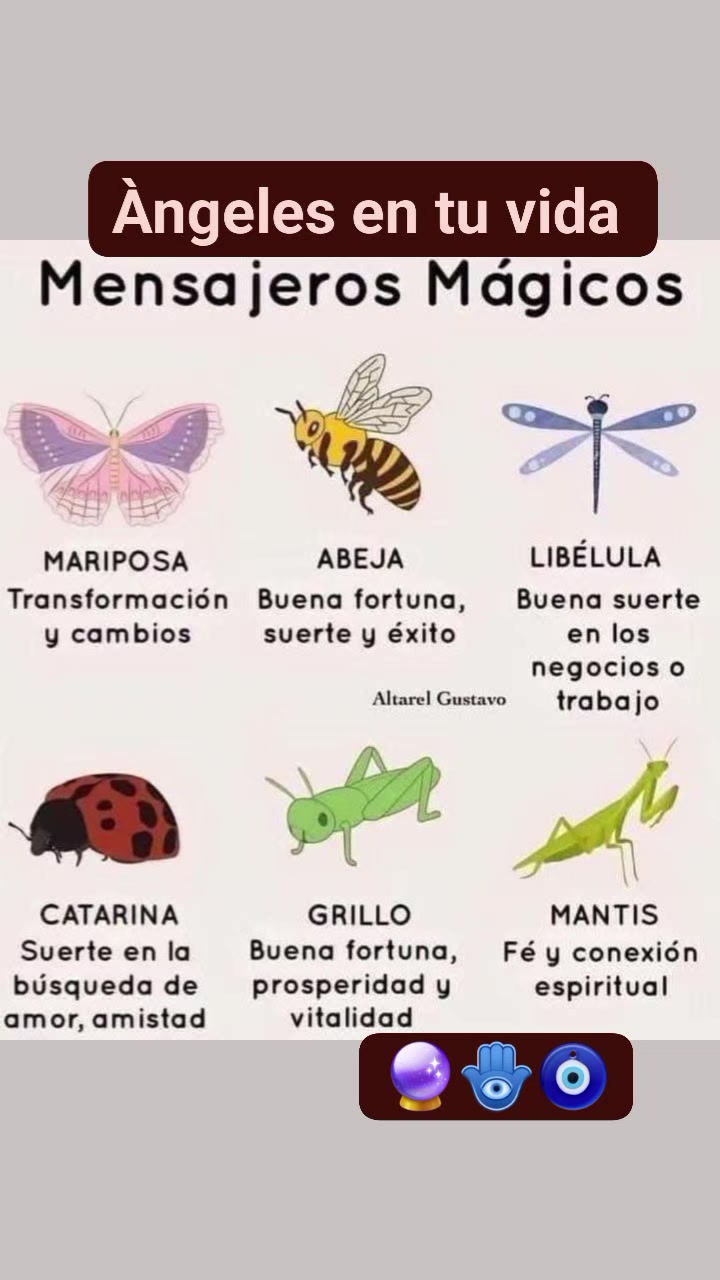 @&Aacute;ngeles en tu vida