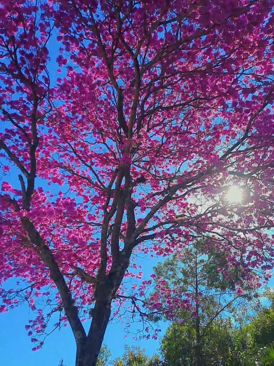 @๐ท๐ท๐ท