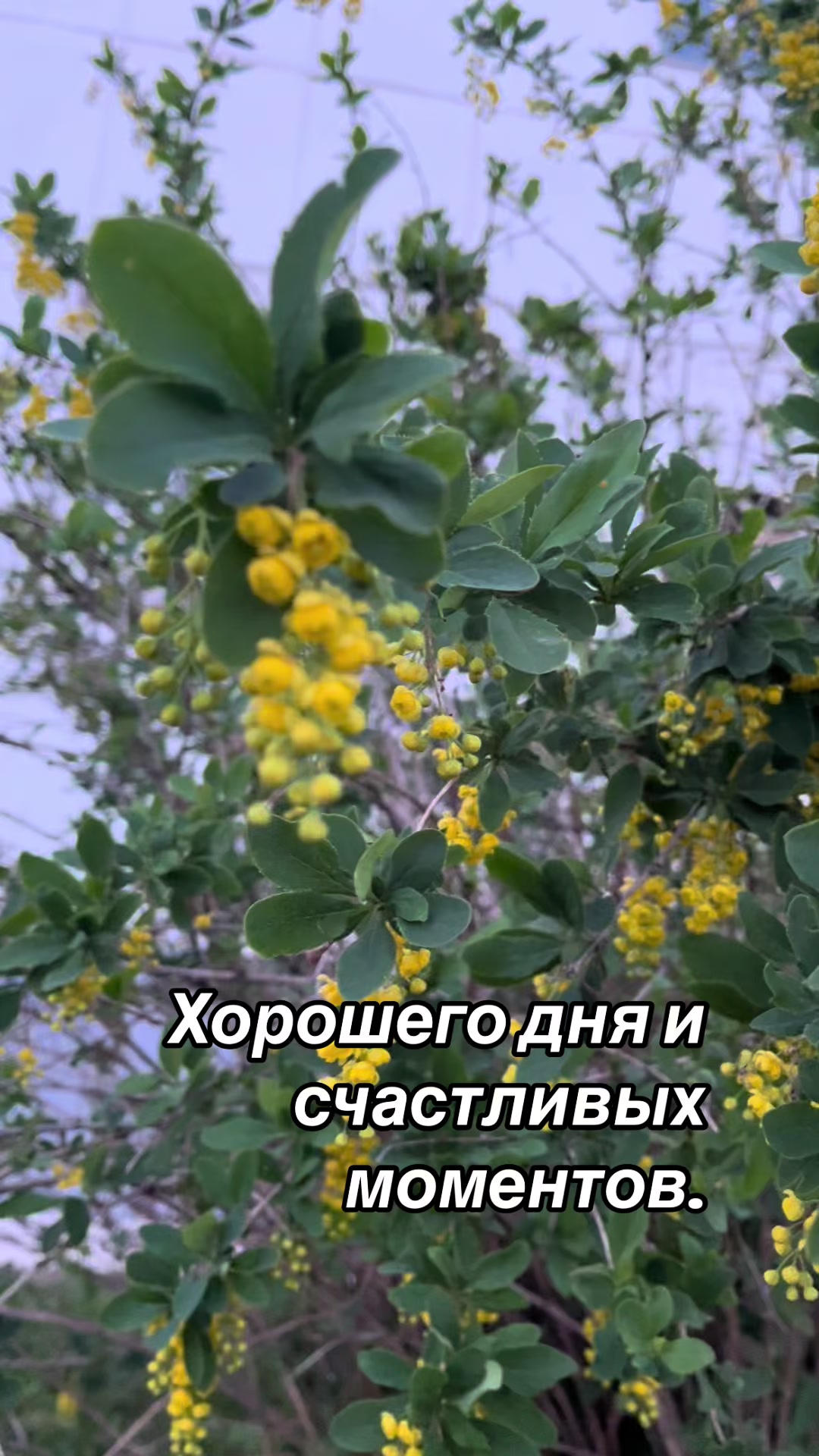 @Елена