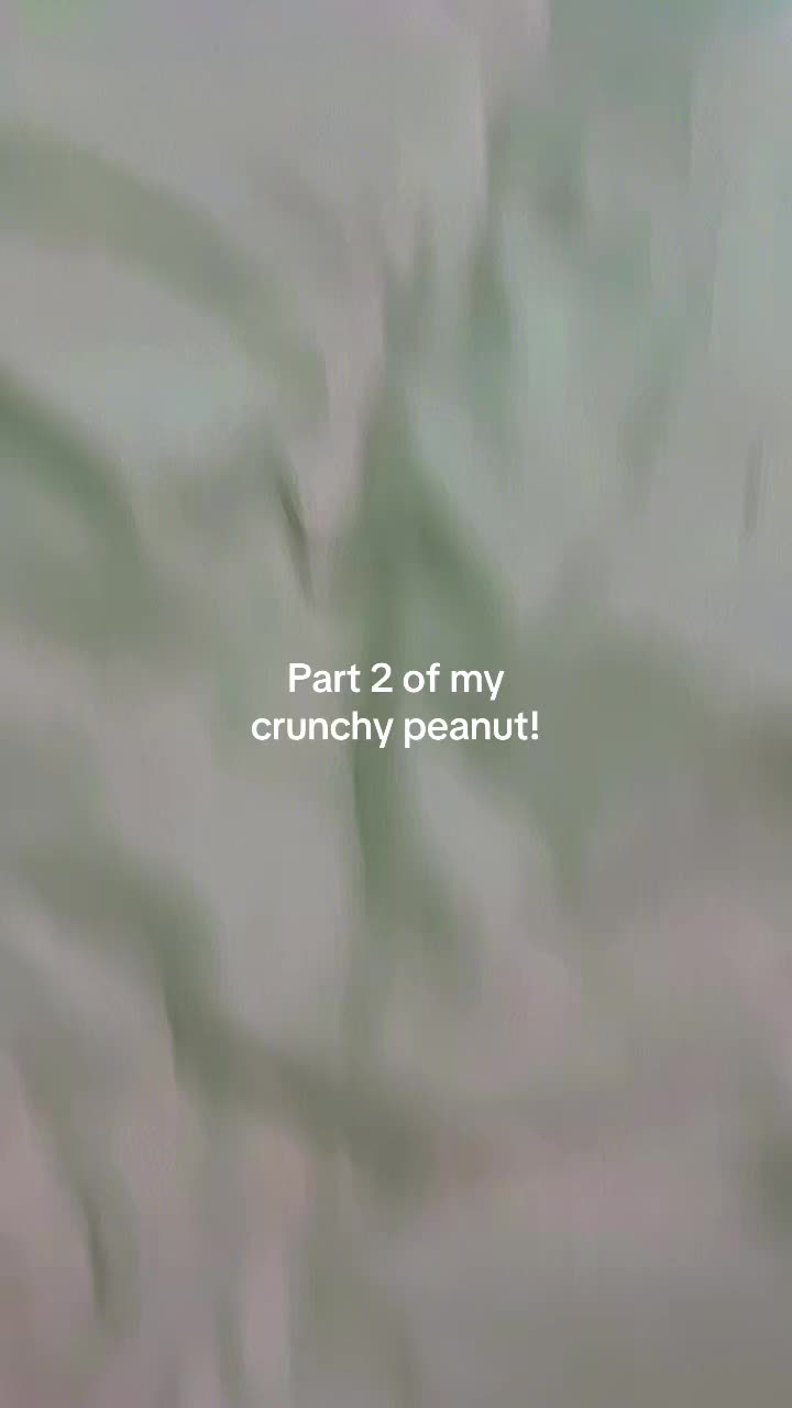 @🐰