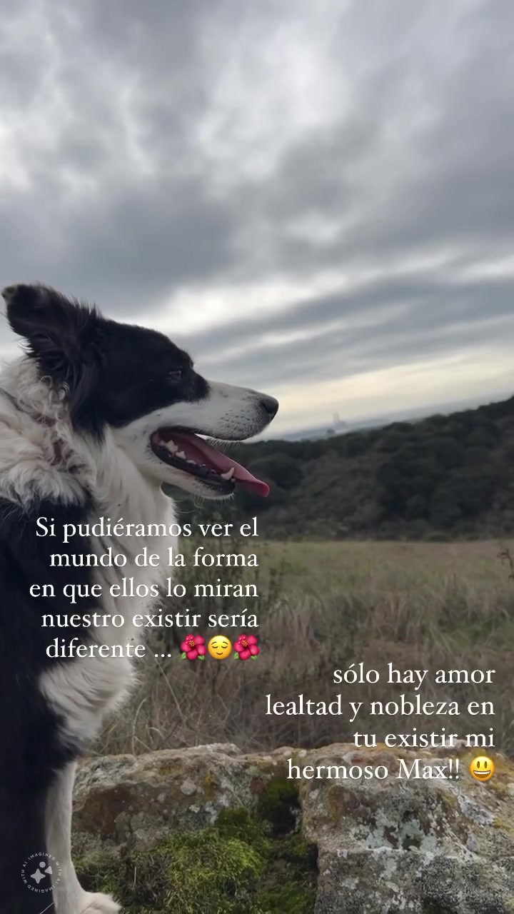 @Maria Cortes 🌺