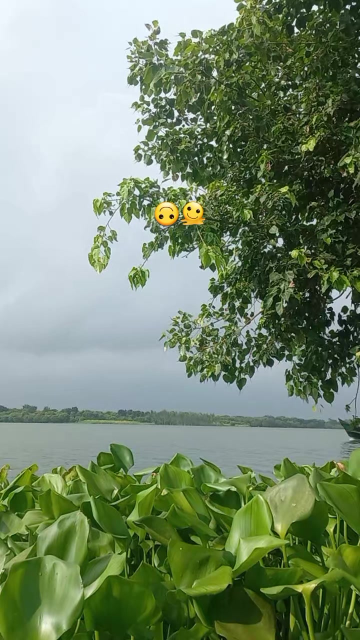 @𝗣𝗮𝗿𝗶𝘇𝗮𝗮𝗱 - ラトゥル 👑🇧🇩