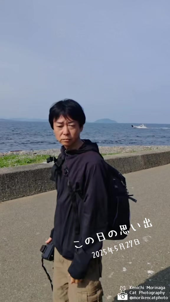 @猫写真家 森永健一