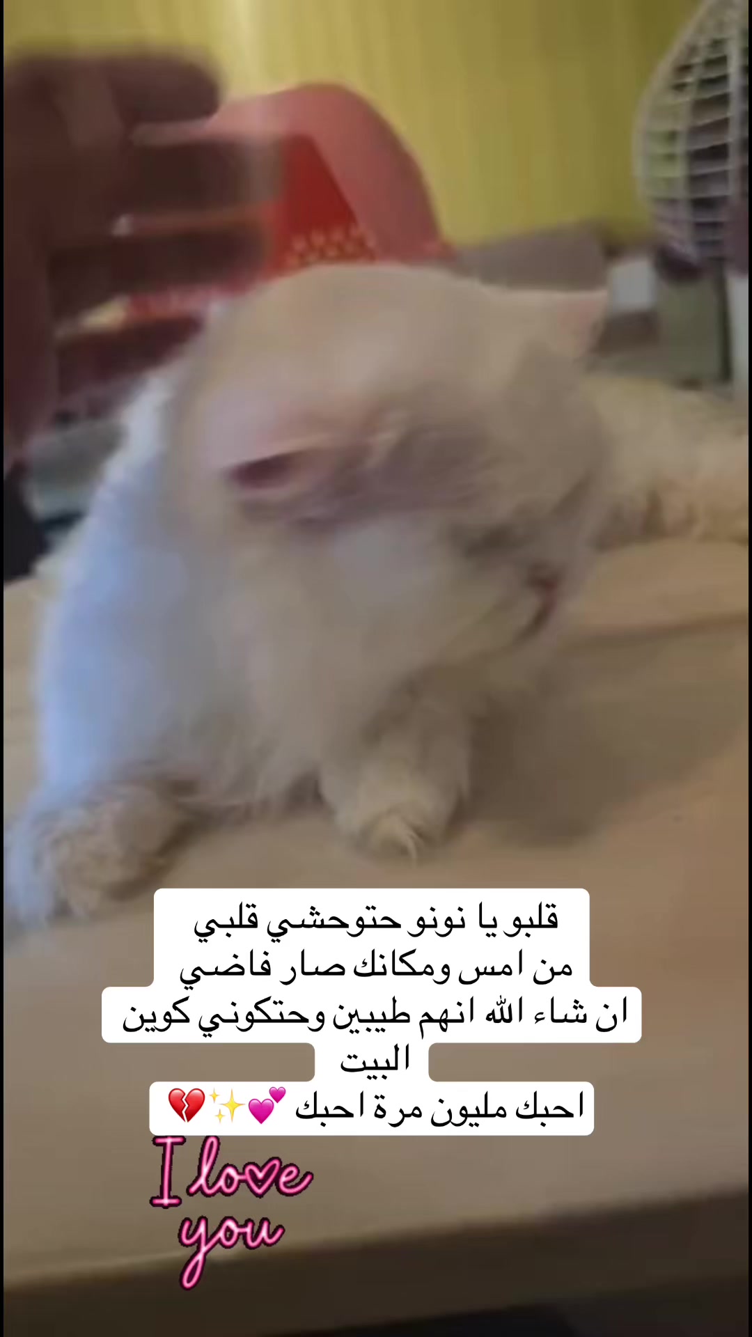 @لولو الحسني🇸🇦🫀
