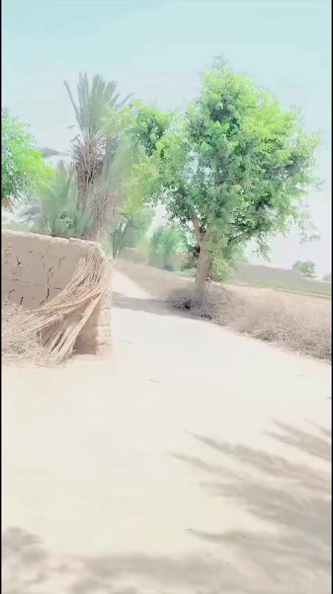 @Prem kumar Panwani