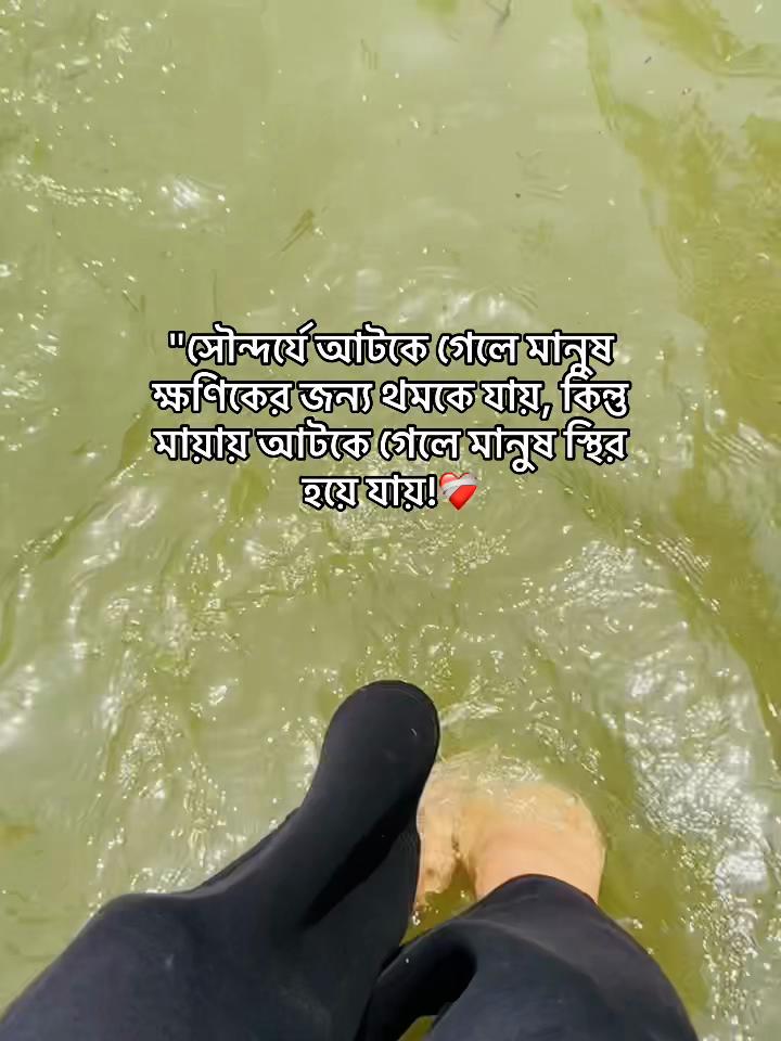 @Pakhii~🕊🪞