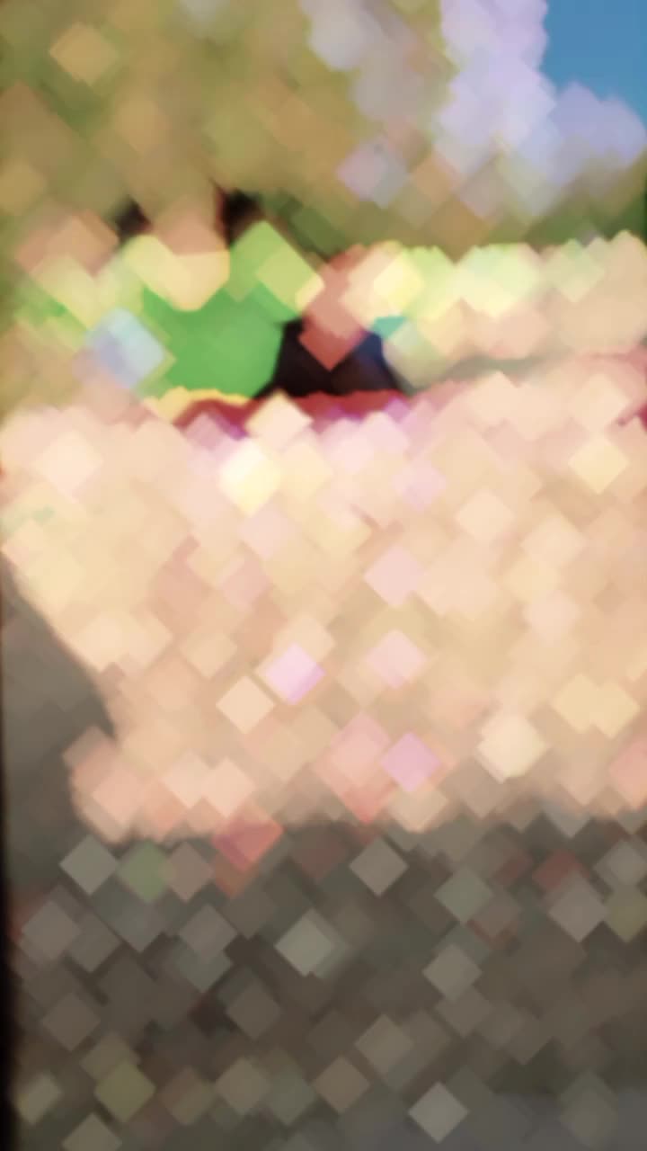 @اصغر مير شر