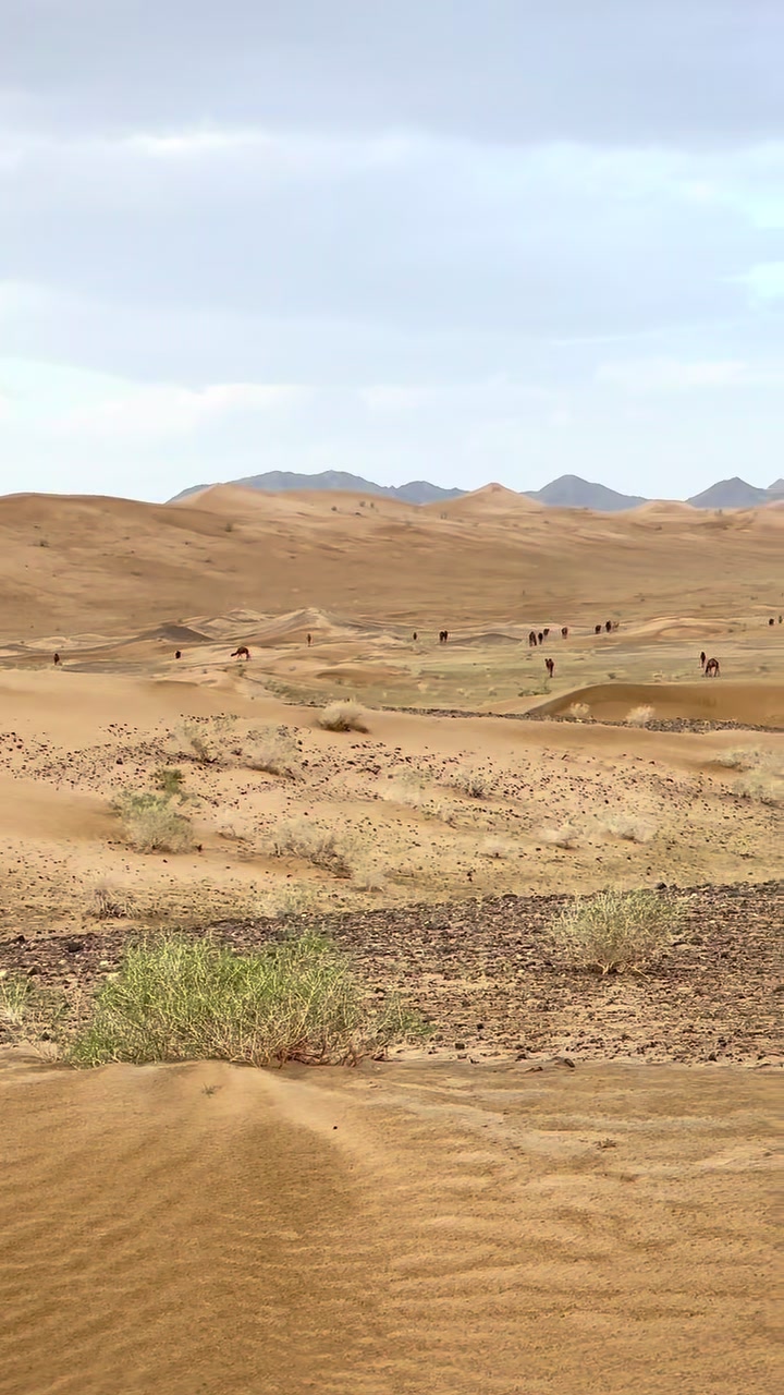 @بلوچستان عشق است 🐪🏜️🪶