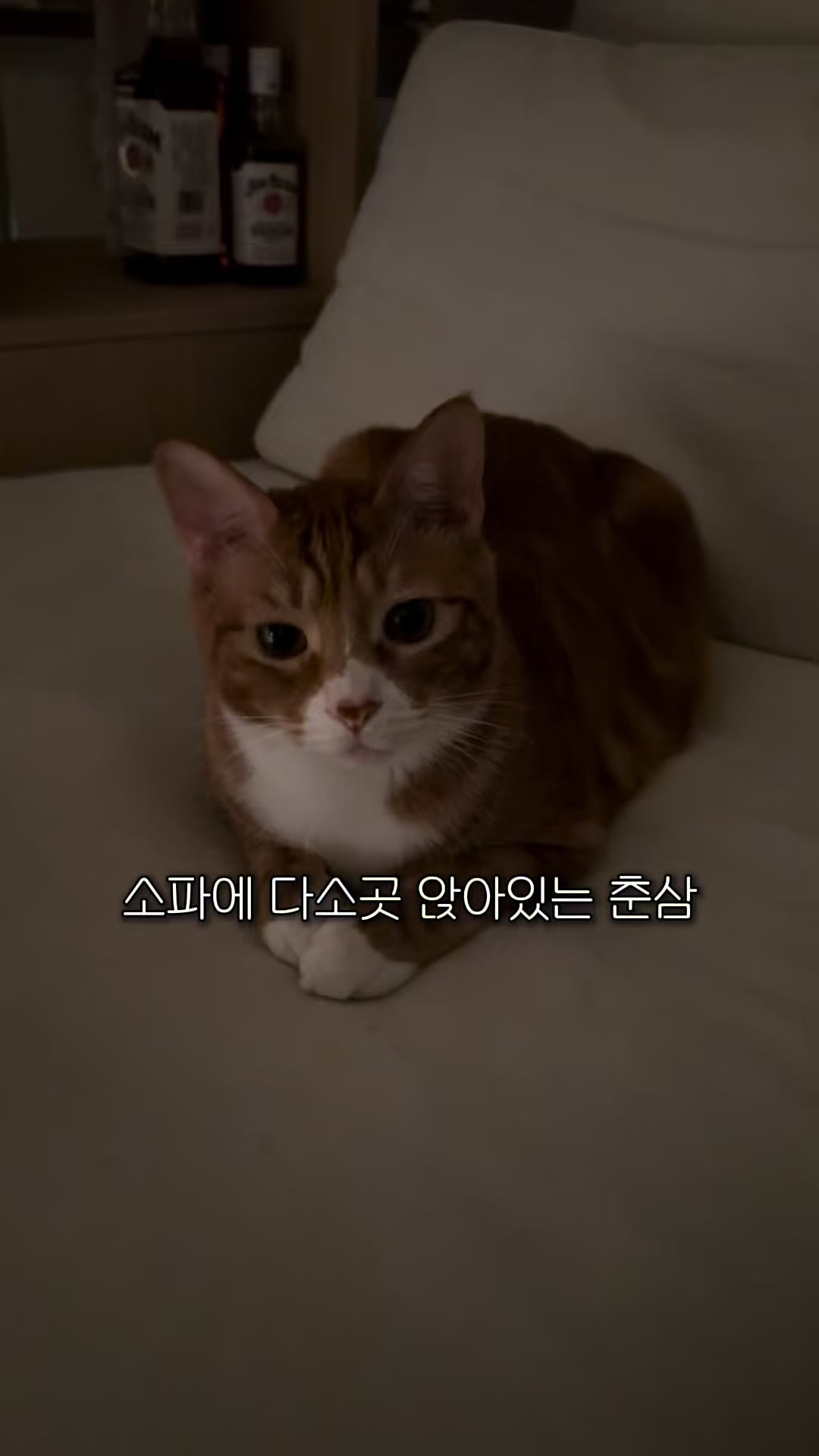 @뮤춘삼