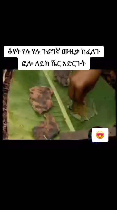 @fa📞+251912701314