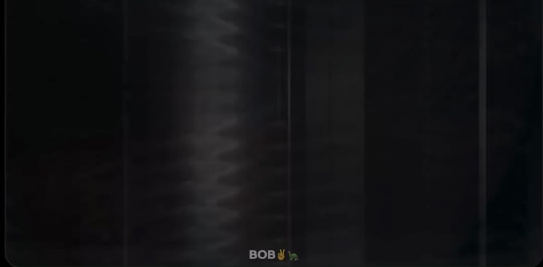 @Bob ✌️🐢