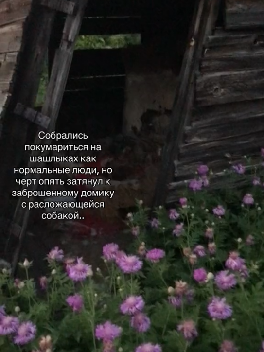 @я не пью водку...x_x