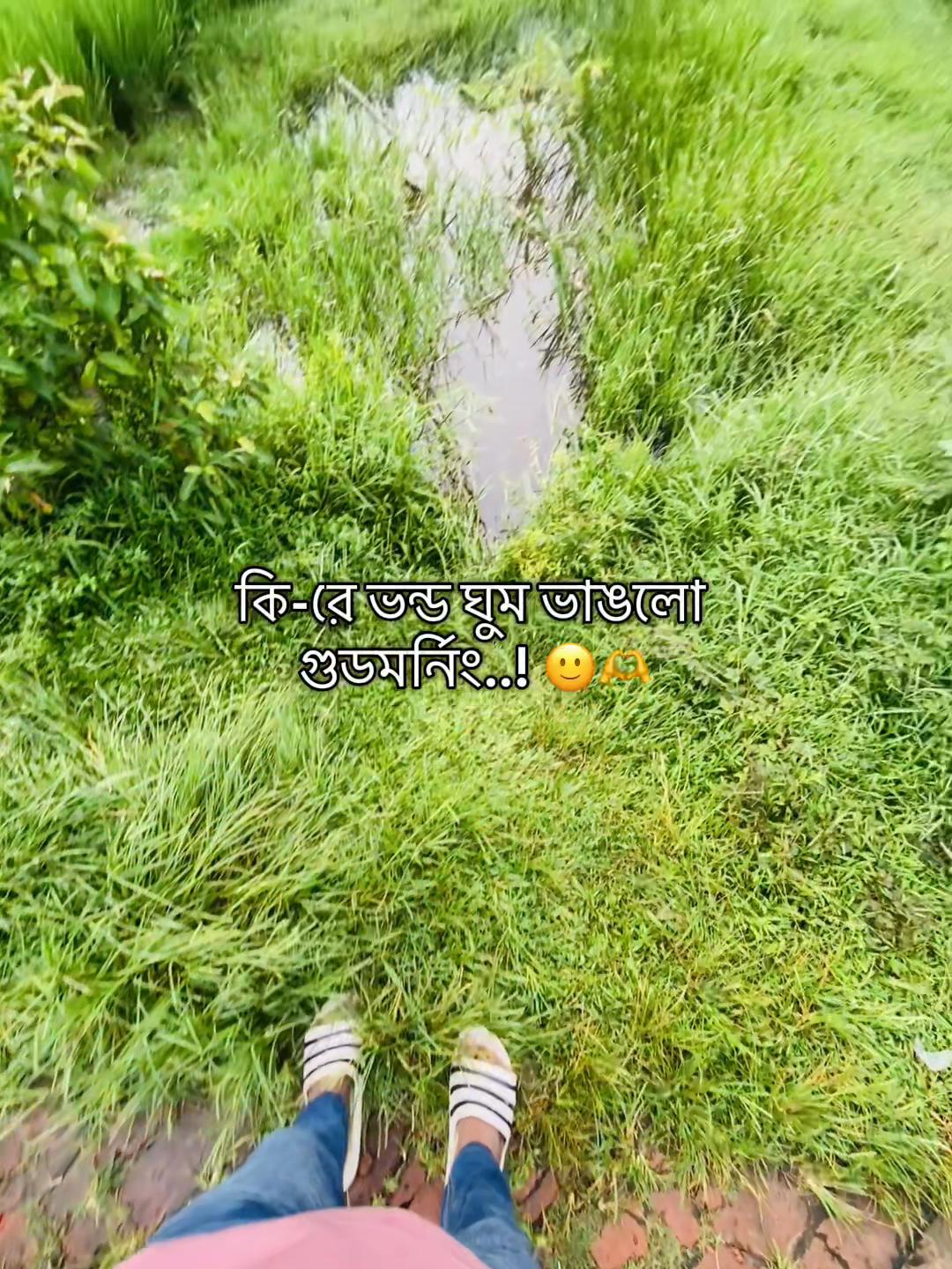 @টিক_টকি 🐸