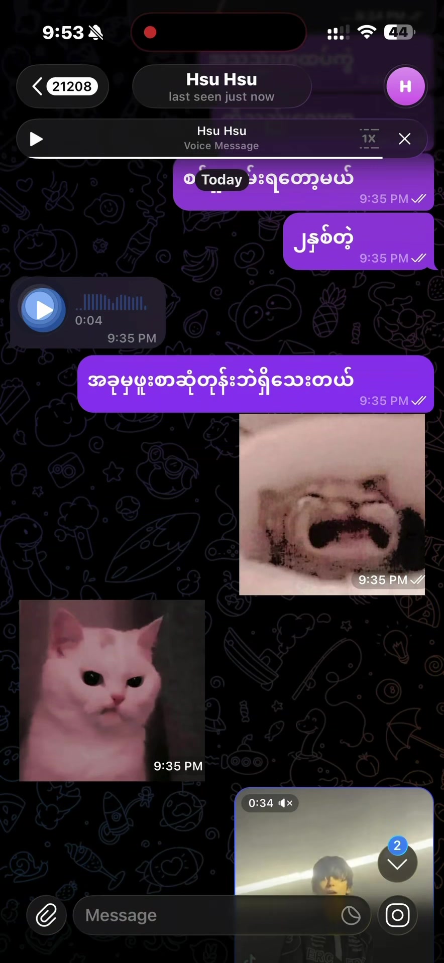 @Hnin Nandar /ᐠ - ˕ -マ