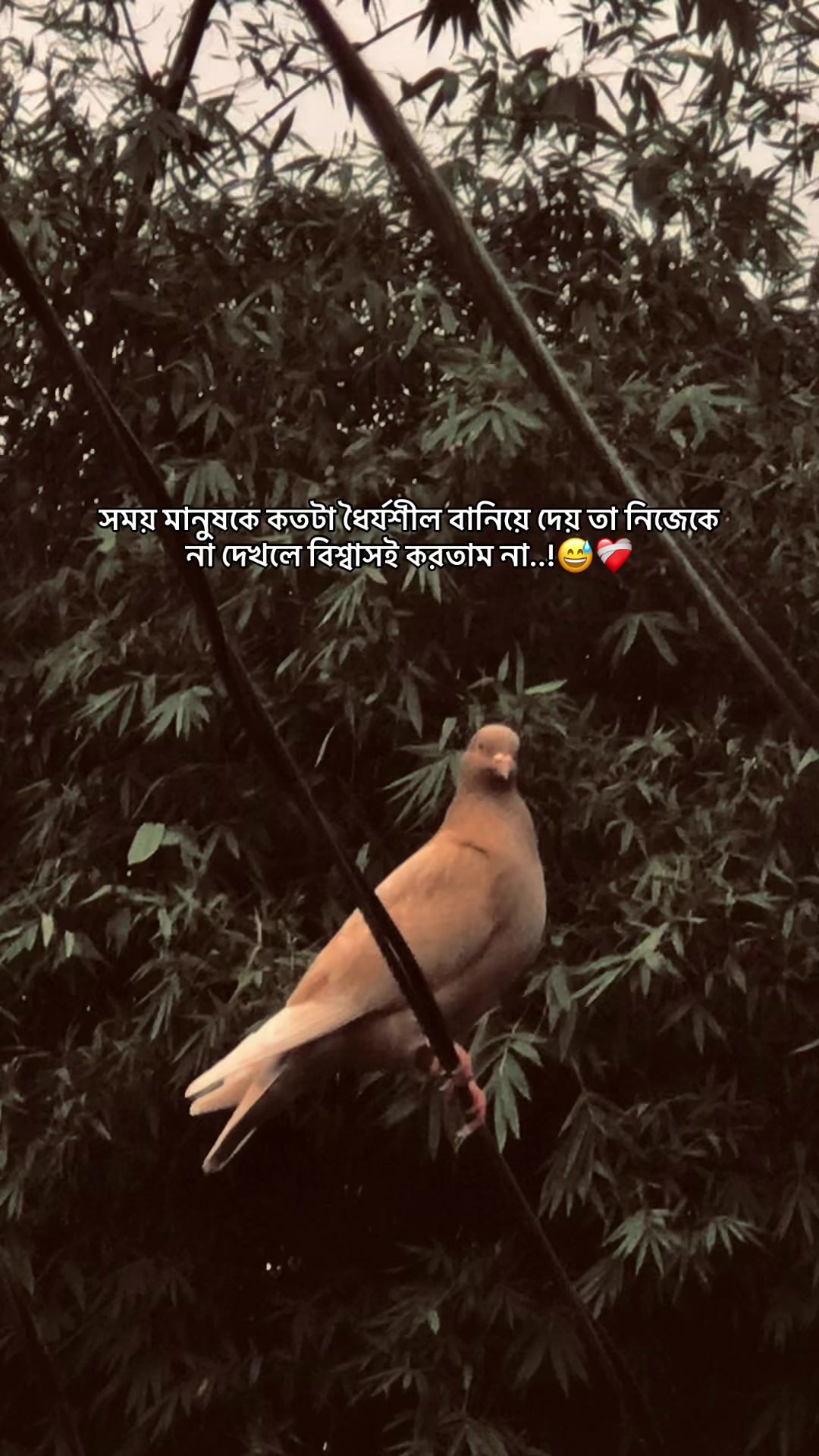 @the_spydoo🕸️ 🥏