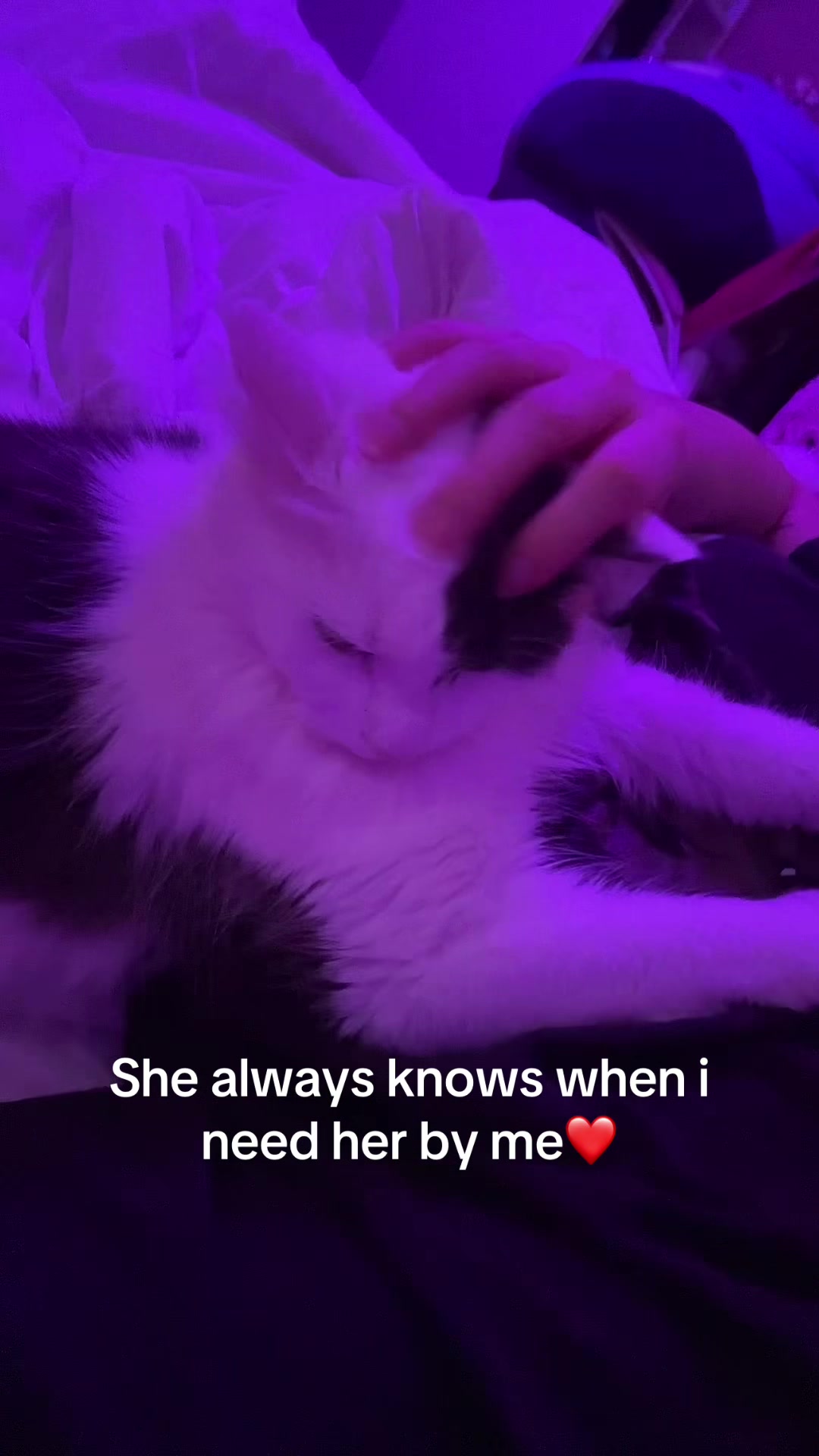 @jjooniebun