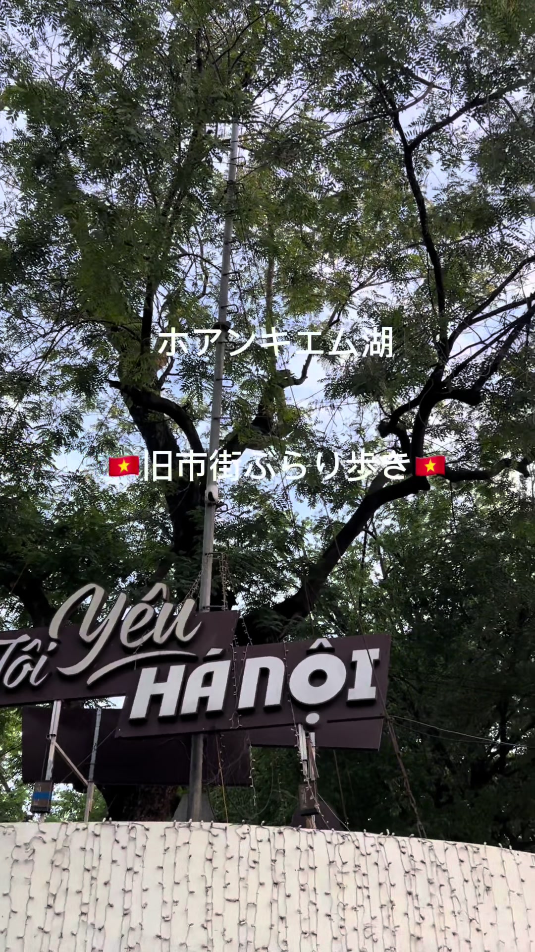 @🌺🌺🌺