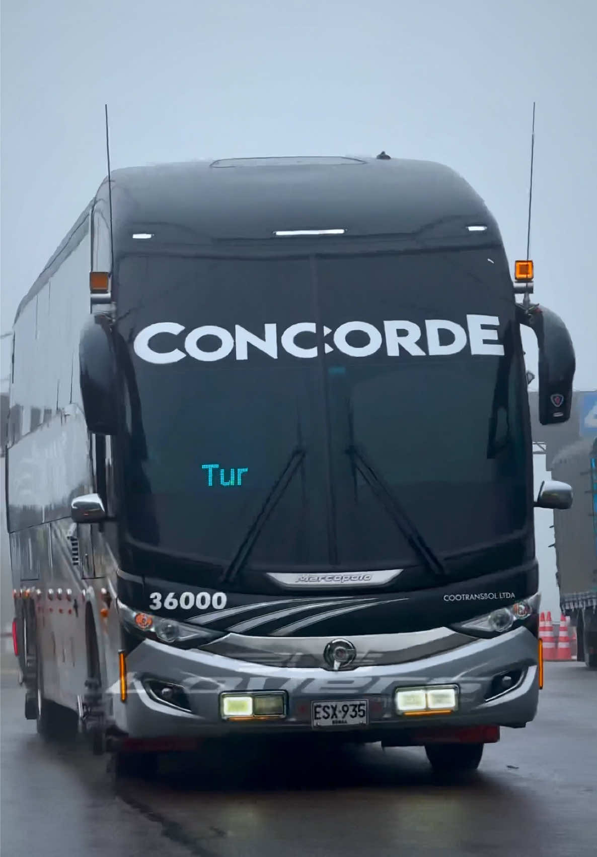 @Bus Lovers