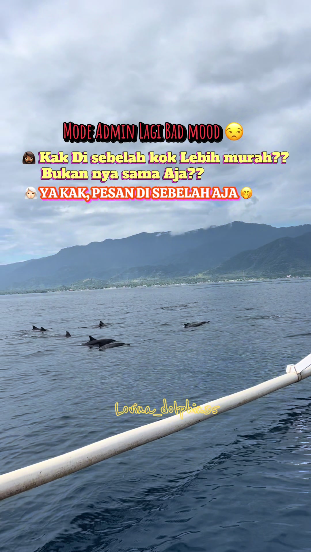 @𝙇𝙤𝙫𝙞𝙣𝙖_𝙙𝙤𝙡𝙥𝙝𝙞𝙣35